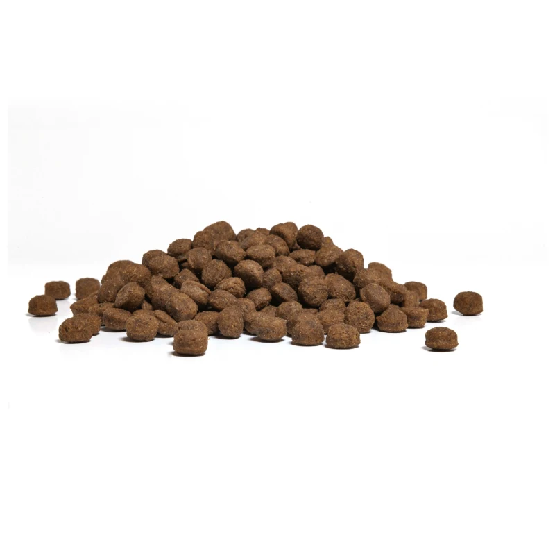 Amykus Pienso para perros adultos Original Adult 12,5 kg