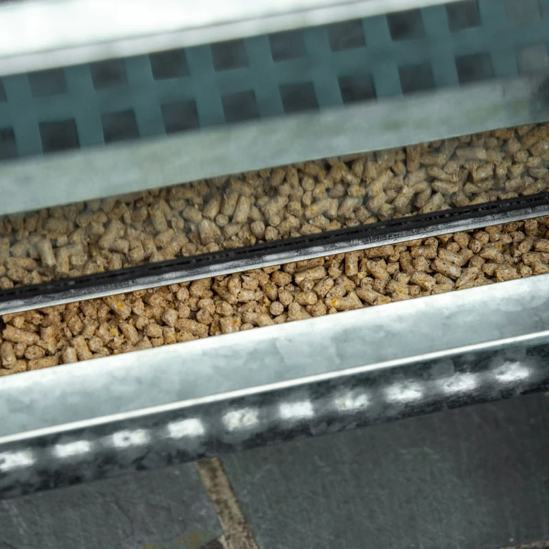 PawHut Hranitoare pentru Gaini de 13,5 litri pentru 3 Pui, Rezistenta la Ploaie, cu Capac Automat si Pedala, 33,5x38,5x66cm, Argintie șsi Verde