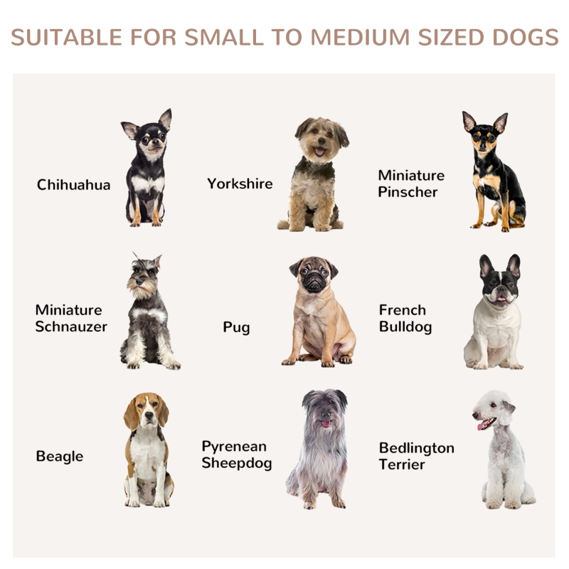 small medium sized dogs