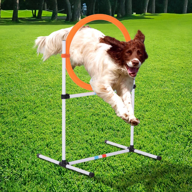 PawHut Hondentrainingsset springring voor huisdieren behendigheidstraining met PE-draagtas