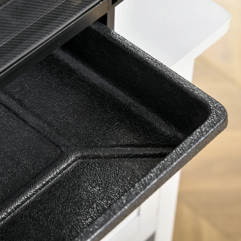 PawHut Terrarium vivarium boîte pour reptiles 32 x 32 x 46 cm avec passe-câble, fond en ABS, plateau amovible noir