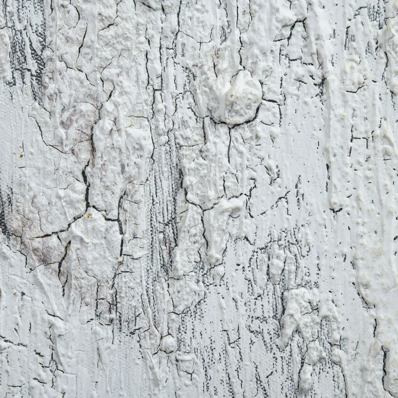 HOMCOM muurschilderingen, set van 2 stuks, wanddecoratie op canvas 'olifant' 120 x 120 x 2,8 cm