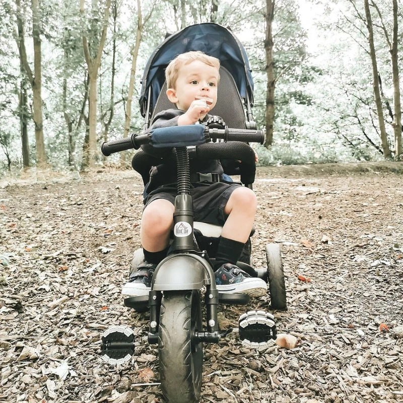 HOMCOM Triciclo per Bambini con Maniglione Tettuccio Deluxe Struttura Metallo 102 x 49 x 102cm Nero Blu