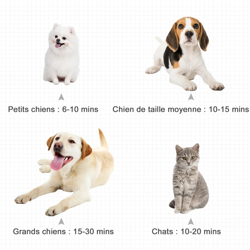 PawHut Séchoir pour animaux pulseur toilettage portable température réglable avec poignée 3 embouts - 2400W - noir