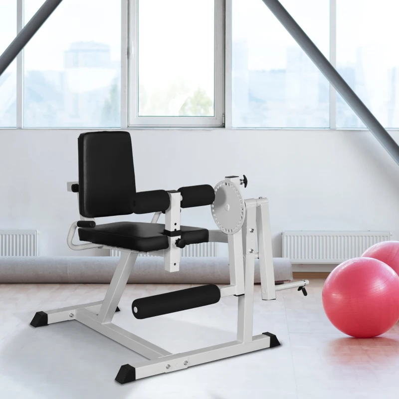 HOMCOM Beinstrecker Beintrainer Fitnessgerät Gym Stahl Schwarz+Silber