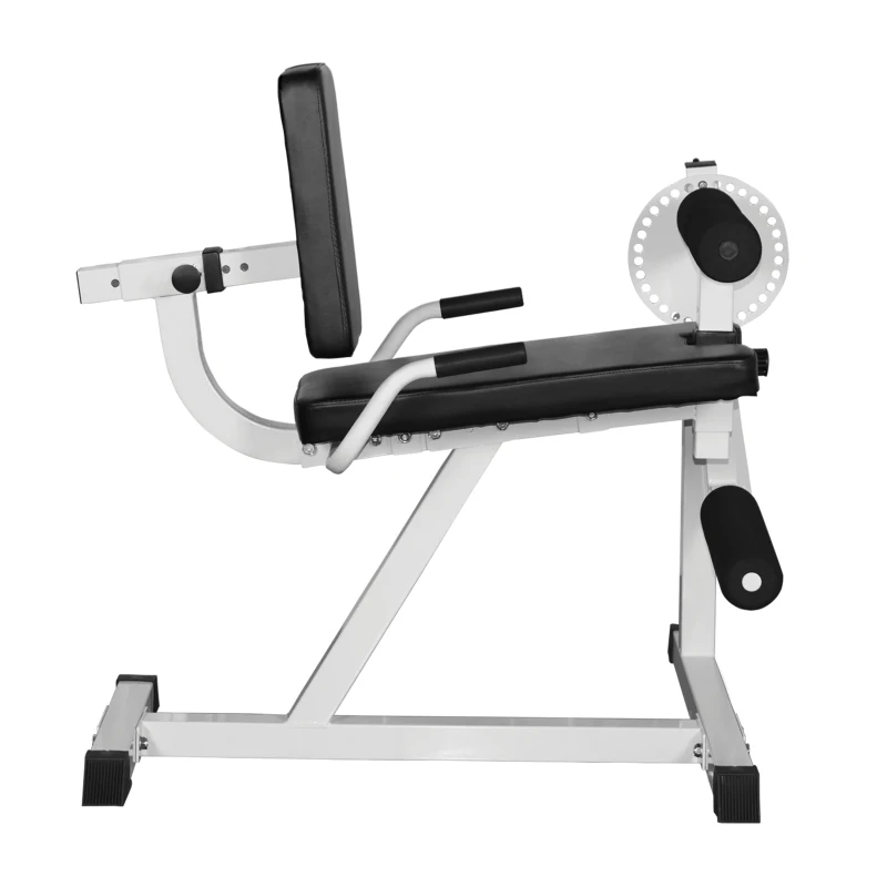 HOMCOM Beinstrecker Beintrainer Fitnessgerät Gym Stahl Schwarz+Silber