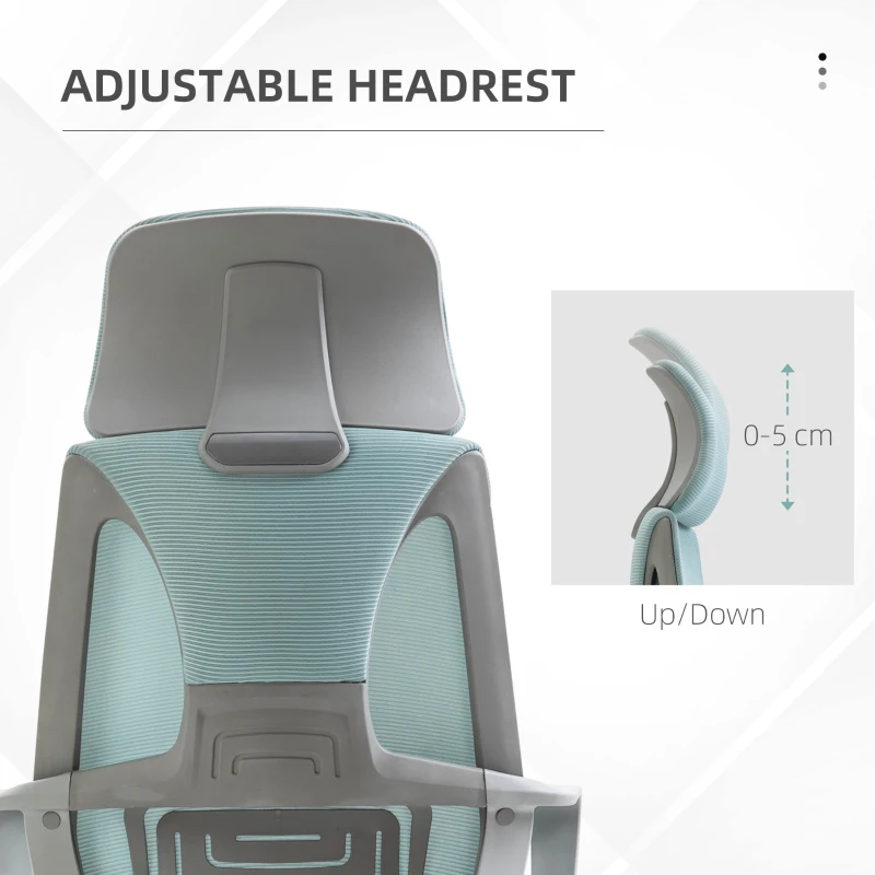 Vinsetto Ergonomic Office Chair Mesh Back Blue