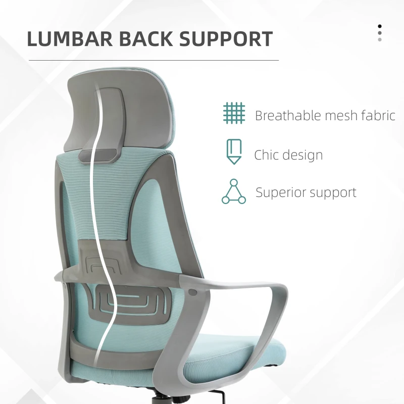 Vinsetto Ergonomic Office Chair Mesh Back Blue