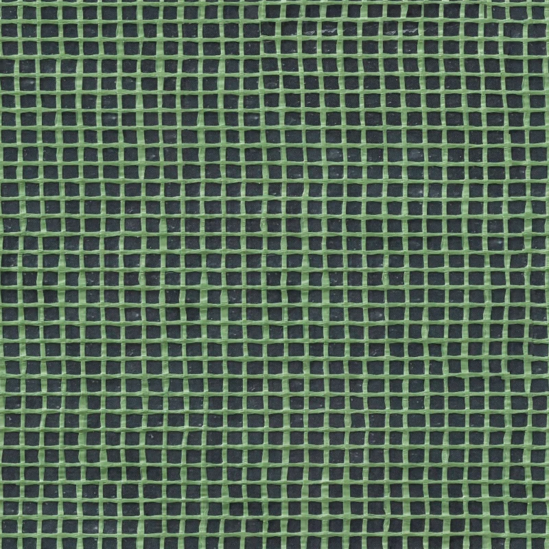 Outsunny Gewächshaus mit Fenstern 6 x 3 x 2m Grün