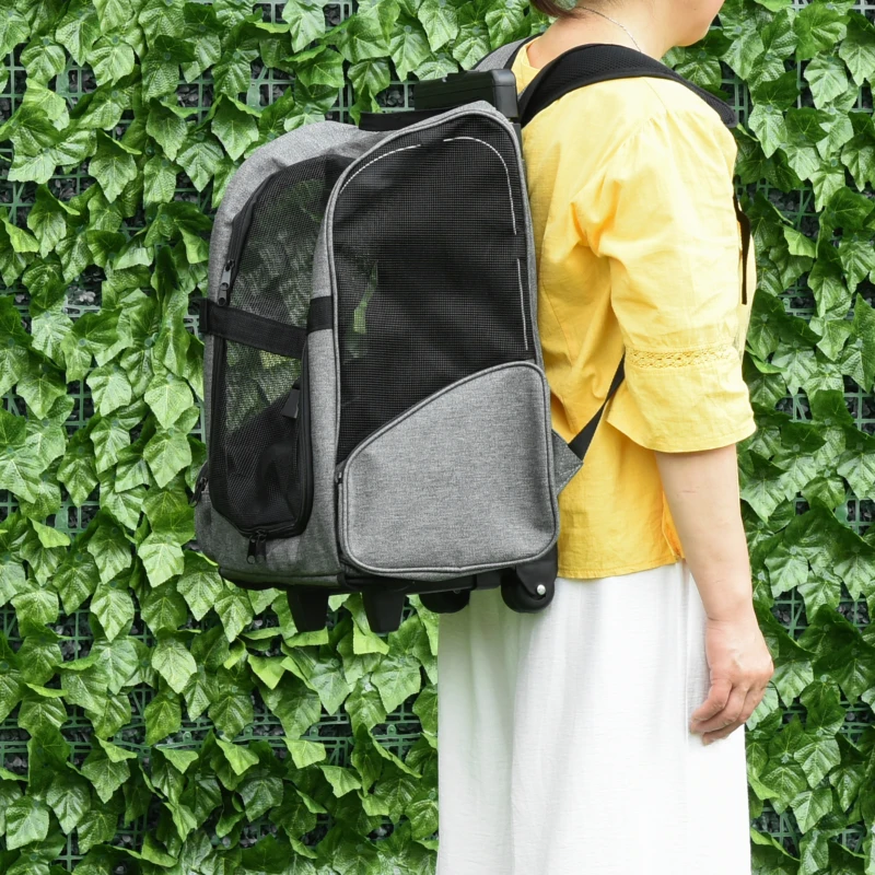 Pawhut Hondentransporttas en Huisdier Rugzak, 2-in-1 Ontwerp, Uitschuifbare Handgreep, Zijzakken, Grijs, 42 x 25 x 55 cm