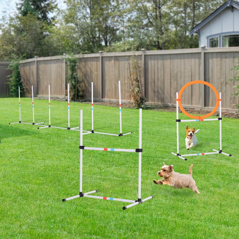 3-cz. zestaw do treningu agility dla psów Zestaw treningowy dla zwierząt domowych Zestaw do treningu psów z torbą