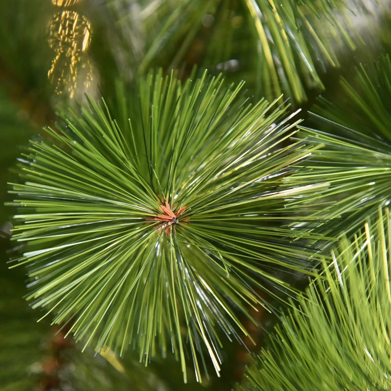 HOMCOM Árvore de Natal 210cm Árvore de Natal Artificial com 505 Ramos e Suporte Metálico Ø90x210cm Verde