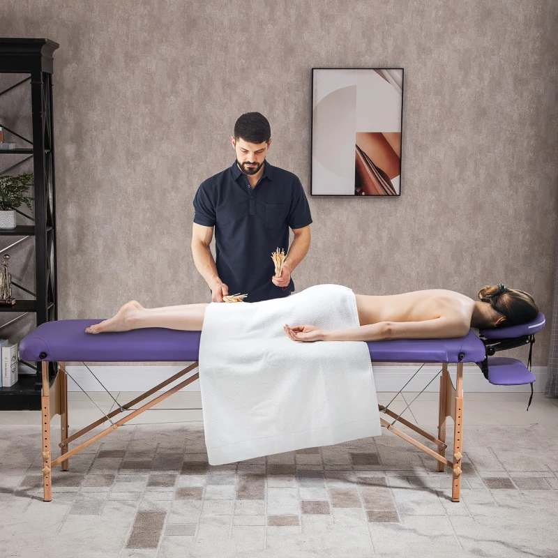 HOMCOM Portable Folding Massage Table, 2 Sections-Purple