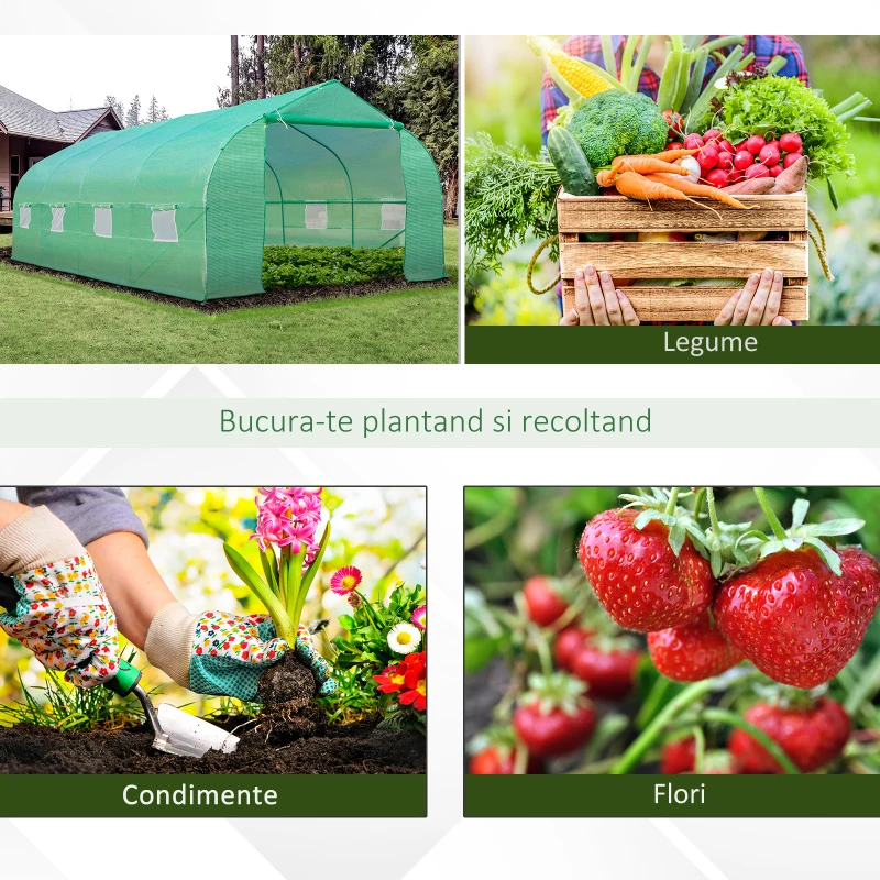 Outsunny Sera pentru Gradina 6x3x2 m, Sera cu Acoperis inclinat din PE pentru Plante, Verde(m-7)