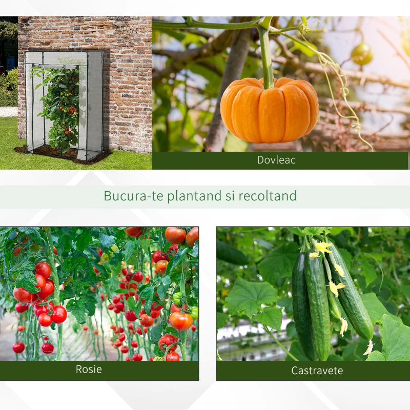 Outsunny sera dreptunghiulara compacta, PVC, 100x50x150cm