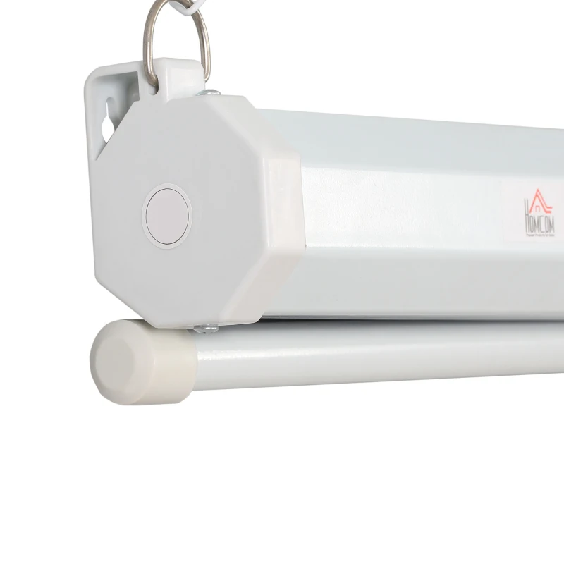 HOMCOM Ecran de Proiectare pe Perete, 120 inch, 244x183 cm