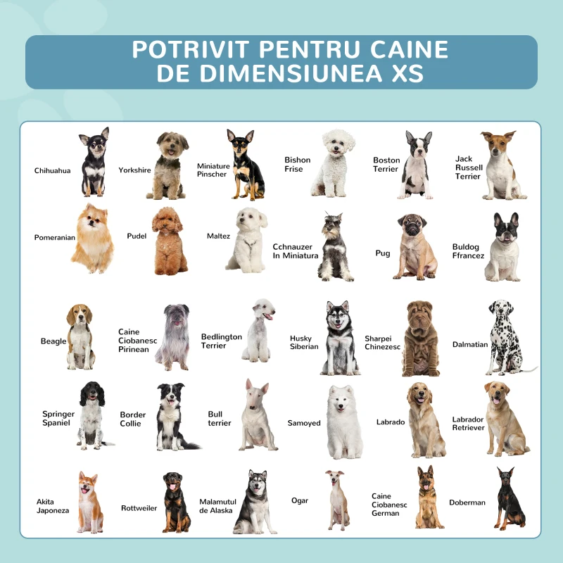 PawHut Piscina pentru Câini cu greutatea peste 65kg din Plastic pentru Grădină Φ140x30cm