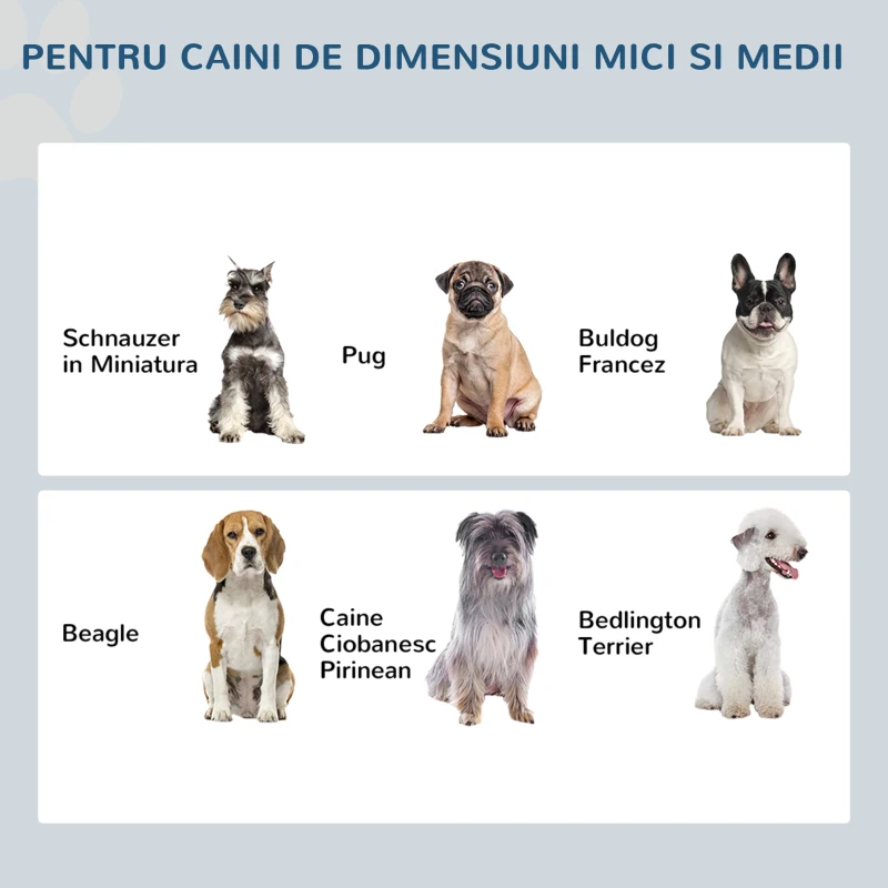 Pawhut Bol Dublu inaltat pentru Caini – Inox & MDF