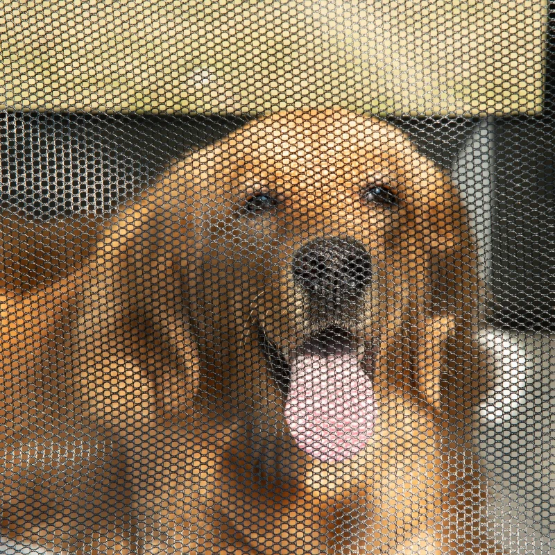 PawHut 97cm Foldable Pet Carrier for Large Medium Dogs, Portable Cat Carrier, Soft Travel Bag, Grey