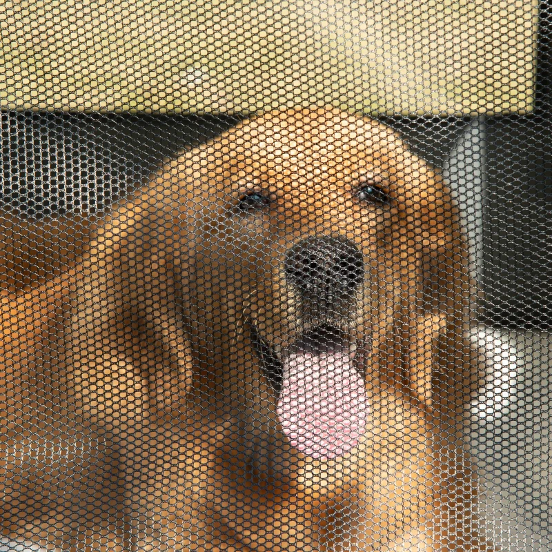 PawHut 97cm Foldable Pet Carrier for Large Medium Dogs, Portable Cat Carrier, Soft Travel Bag, Brown