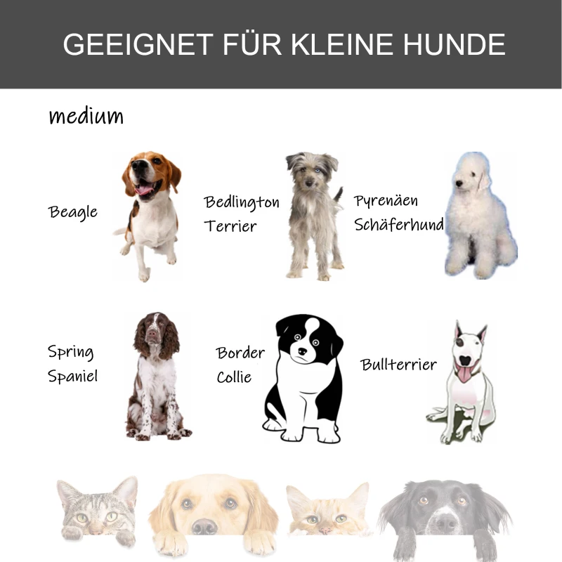 PawHut Transportbox auf 4 Rollen 94 cm x 58 cm x 69,5 cm Metall, PP, Schwarz