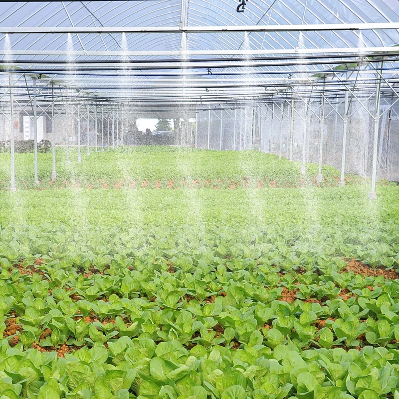 Outsunny Nebulizador de Água para Jardins Sistema de Resfriamento por Nebulização para Pátio Jardim Ar Livre 6m Preto