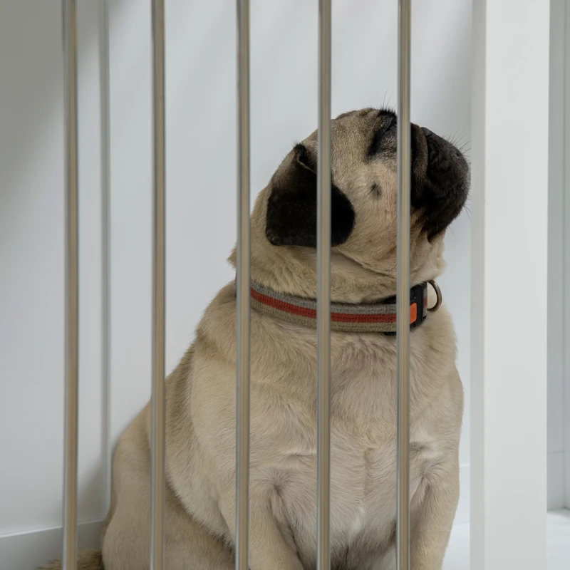 PawHut hondenkooi, huisdierenkooi, hondenhok, hondenbench met tafelblad, wit