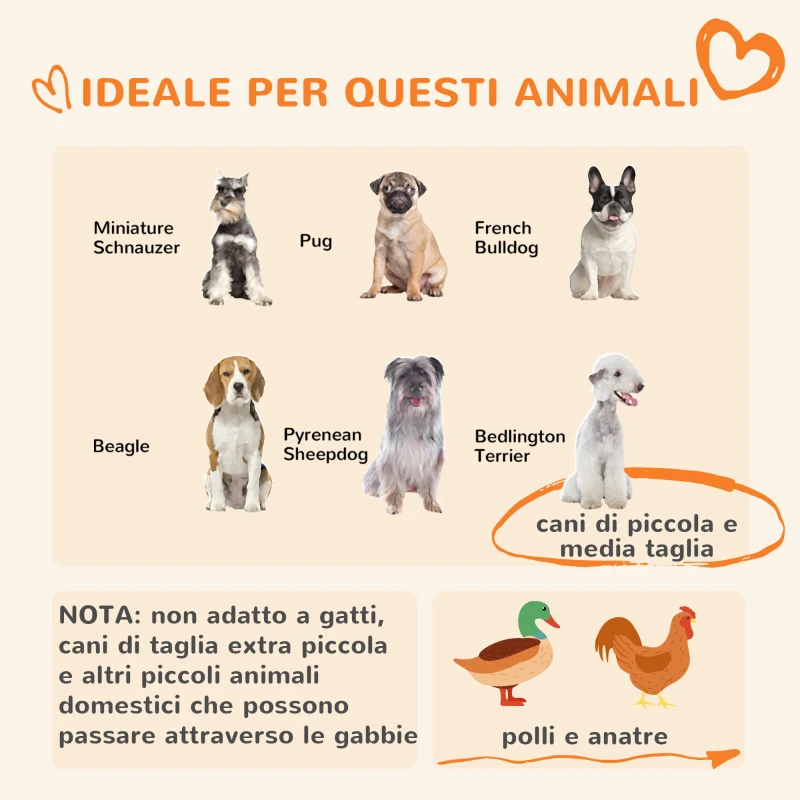 PawHut Kennel Recinto per Cani di Taglia Piccola e Media, Galline e Anatre con Tettuccio, 122x122x13 cm