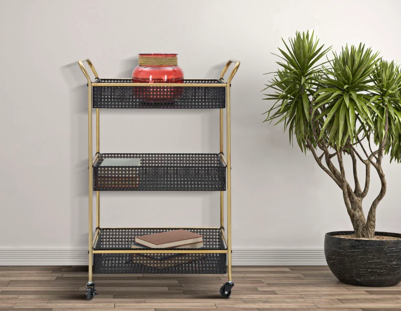 Mauro Ferretti Carucior FASHION CM 56X37X81