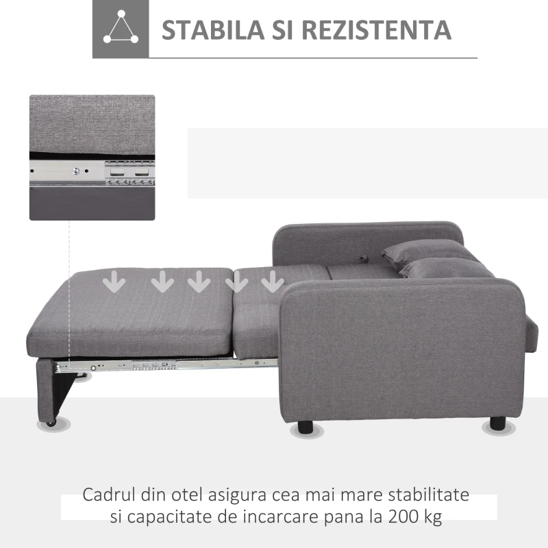 HOMCOM Canapea Extensibila cu Compartiment de Depozitare si Design Modern din In, Gri(m-7)