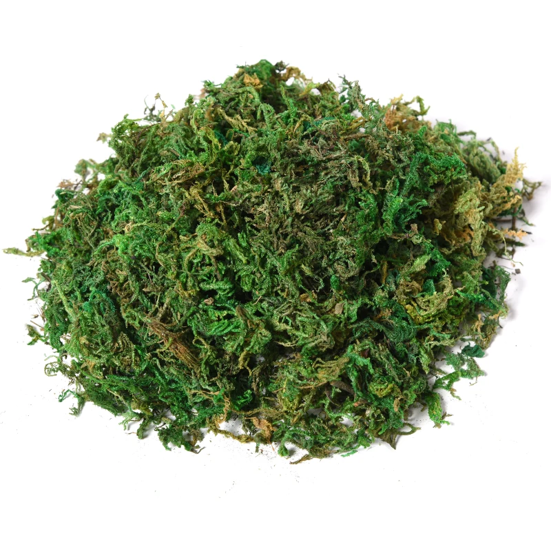 Outsunny Albero Baniano Artificiale, Pianta Finta Decorativa Interno ed Esterno Alta 145cm, Verde