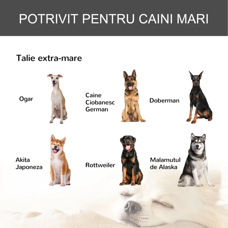 Pawhut Cusca Caini – Pliabila cu Roti & Baza Detasabila