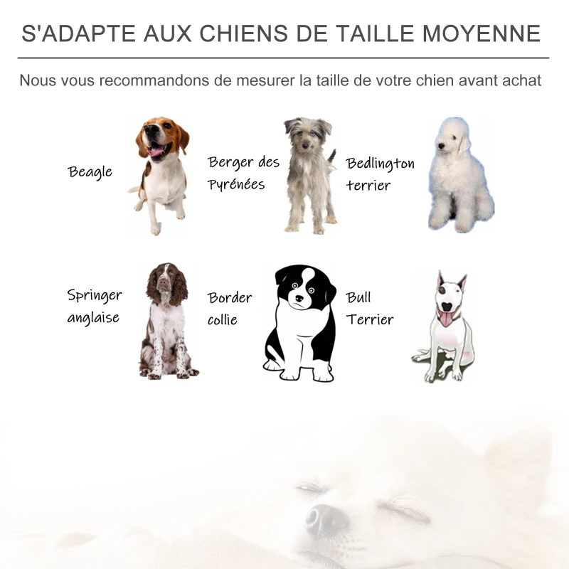 PawHut Canapé lit panier chien chat sur pied coussin moelleux pieds bois massif bouleau dim. 81L x 61l x 24H cm velours polyester gris