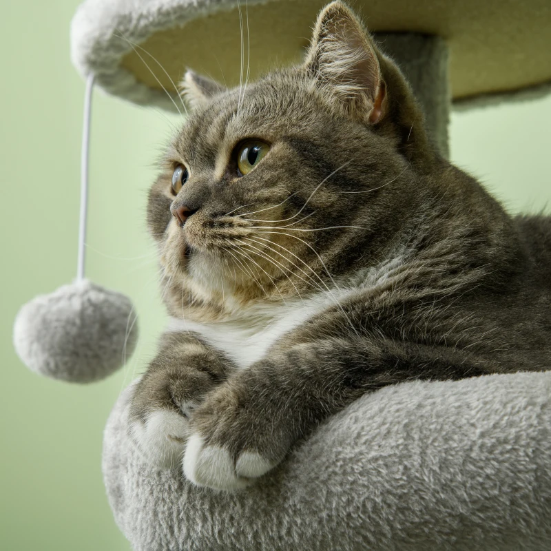 PawHut Arbre à chat hauteur 104 cm centre d'activités multi-niveaux colonnes renforcées 3 boules suspendues gris clair