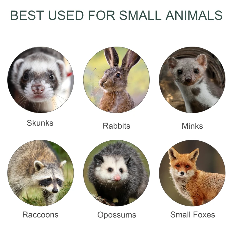 PawHut 2-Door Humane Live Cage Trap for Small Animal Rat Mise Mink Rabbit Raccoon Kids and Pet Safe Easy Set 100 x 25 x 28cm Dark Green