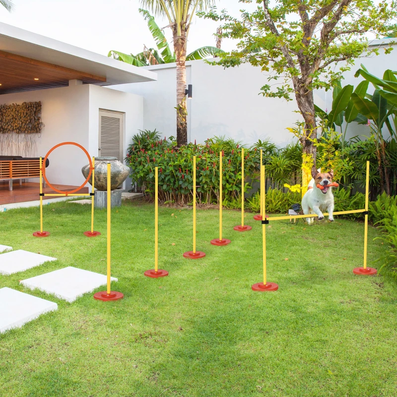 PawHut Treino de Agilidade para Cães de 3 Peças Kit Agility com Obstáculos de Salto Aro Poste com Altura Ajustável  Amarelo