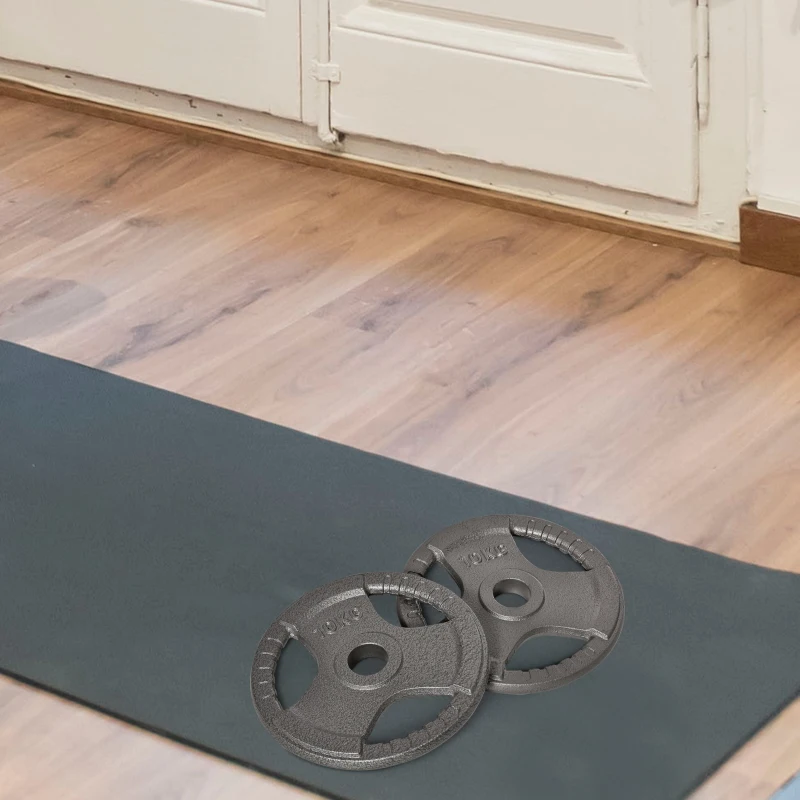 HOMCOM Set of 2 Cast Iron Weight Plates for 2"/5cm Hole Dumbbell Handle Bar, Barbell Weight 2 x 10kg