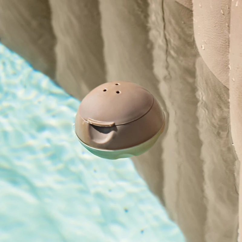 INTEX 29044 - Dispenser Di Cloro Per Spa