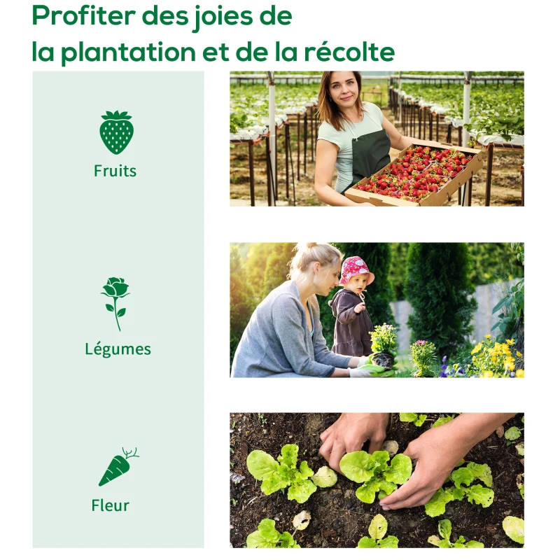 Outsunny Serre de Jardin Tunnel 6 m² 3L x 2l x 2H m châssis Tubulaire renforcé Porte zippée 2 fenêtres enroulables - transparent