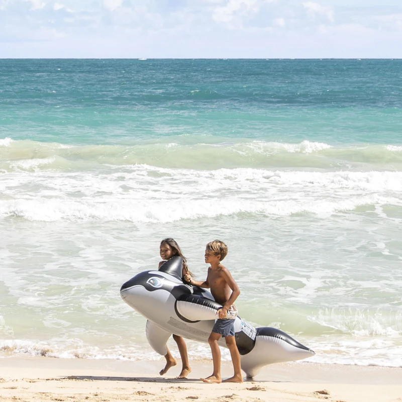 INTEX 58561NP - Cavalcabile Orca Cm 193X119