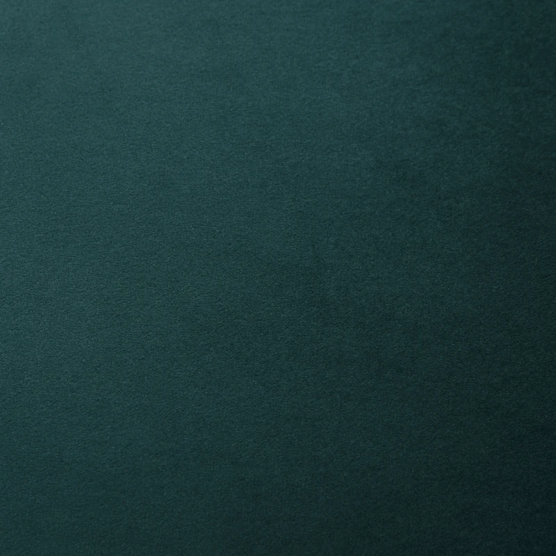 HOMCOM 2-delige Set Eetkamerstoelen Keukenstoelen Accentstoelen, 52 cm x 54 cm x 79 cm, Groen