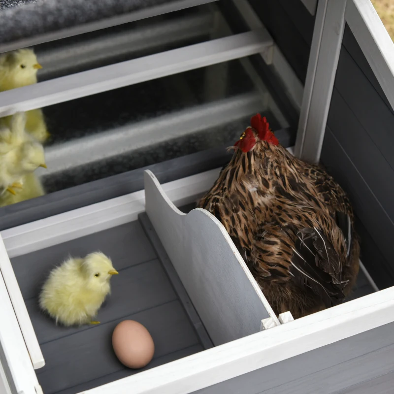 PawHut Poulailler cottage cage à poules surélevé dim. 176L x 65l x 100H cm multi-équipement toit bitumé noir bois sapin gris blanc