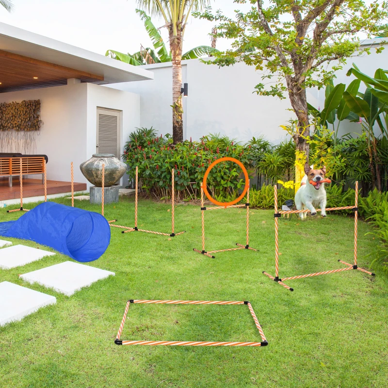 PawHut Attrezzi Agility Dog Set Completo Percorso Agility Dog con 5 Pezzi Slalom, Ostacolo e Tunnel, Arancione