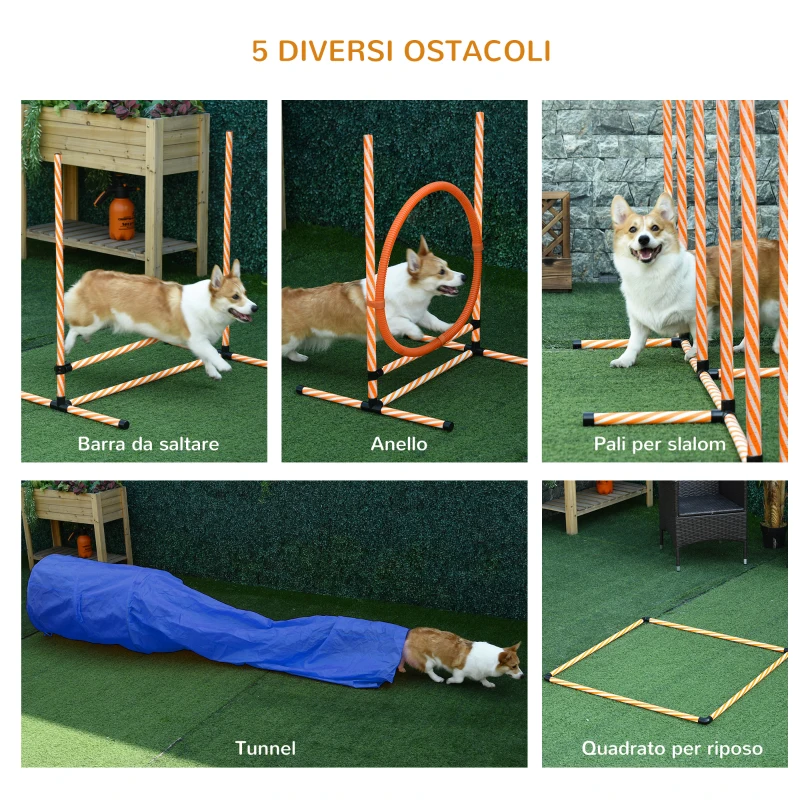PawHut Attrezzi Agility Dog Set Completo Percorso Agility Dog con 5 Pezzi Slalom, Ostacolo e Tunnel, Arancione