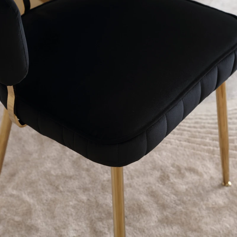 Set di 2 Sedie da Pranzo in Velluto Morbido con Schienale Ergonomico e Braccioli, per Soggiorno e Camera da Letto, Nero