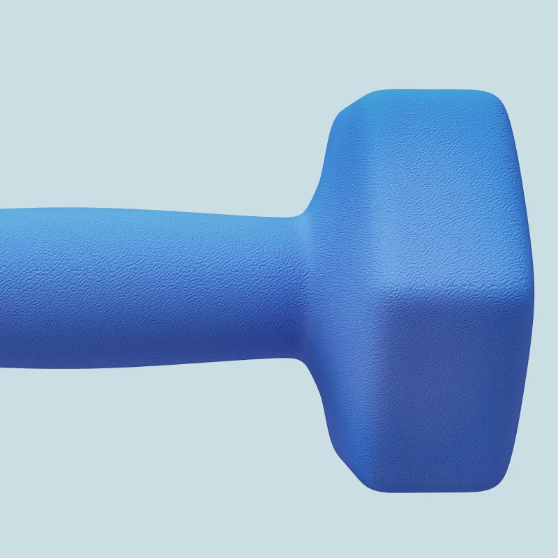 SPORTNOW Set de 2 Greutăți Hexagonale, Set de Gantere cu Prindere Antiderapantă pentru Antrenament Acasă, 24x9x9 cm, Albastru