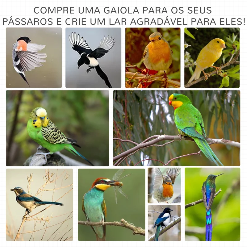 PawHut Gaiola para Pássaros de Madeira com 3 Portas 4 Poleiros Bandeja Amovível e Teto Asfáltico 80,5x57x153 cm Cinza Claro