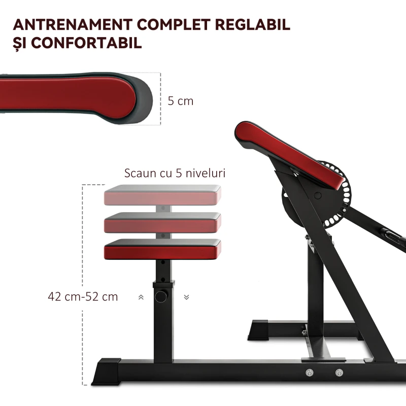 SPORTNOW Bancă Multifuncțională 2 în 1 pentru Curl și Triceps, Bancă de Fitness cu Scaun Reglabil, 105x95x80 cm, Negru