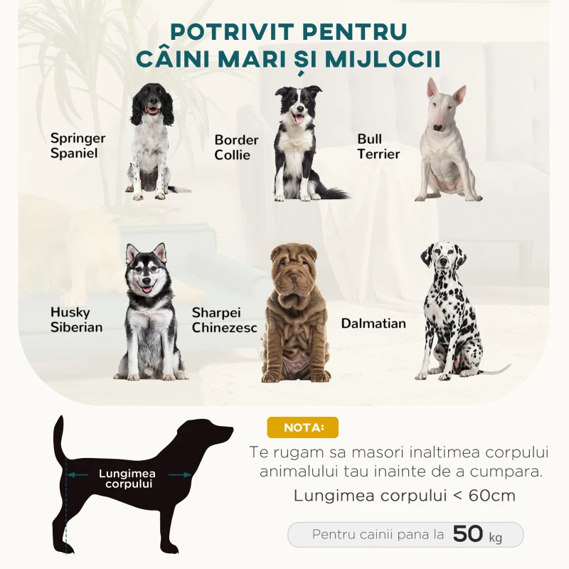 PawHut Canapea pentru Câini Căptușit, Culcuș pentru Câini cu Husă Detașabilă și Picioare din Lemn, 100x62x32 cm, Verde