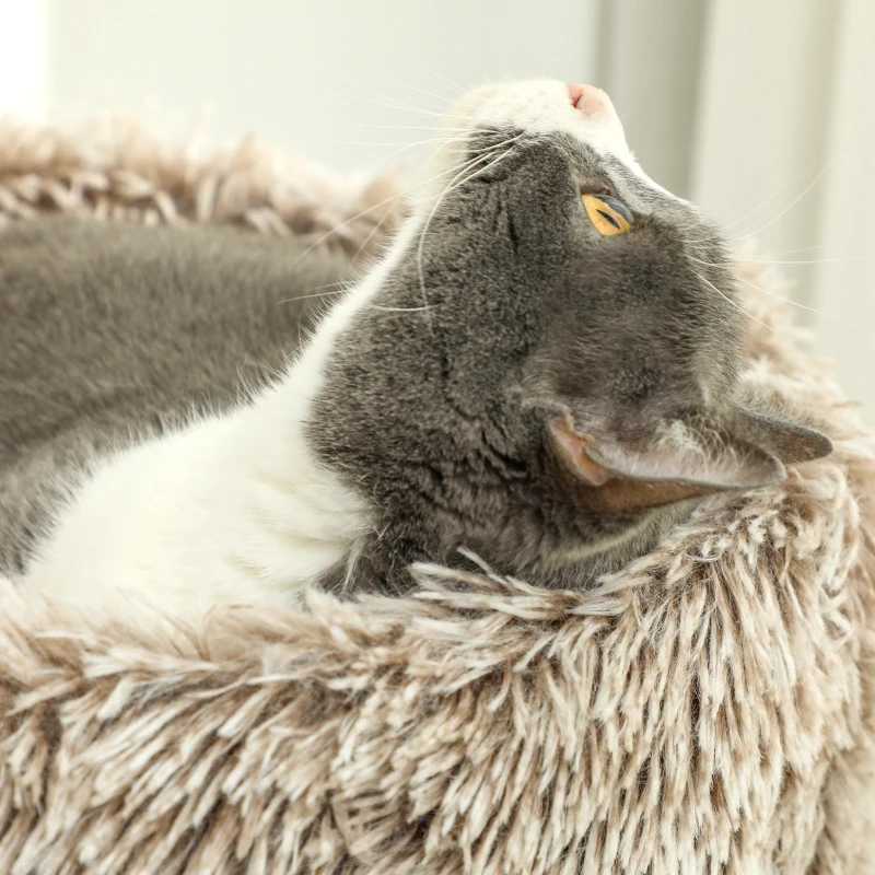 PawHut Kattenboom, 87 cm, Kattentoren met Dikke Krabpaal, Pluchebed, Binnen, Draagt tot 6 kg, Bruin